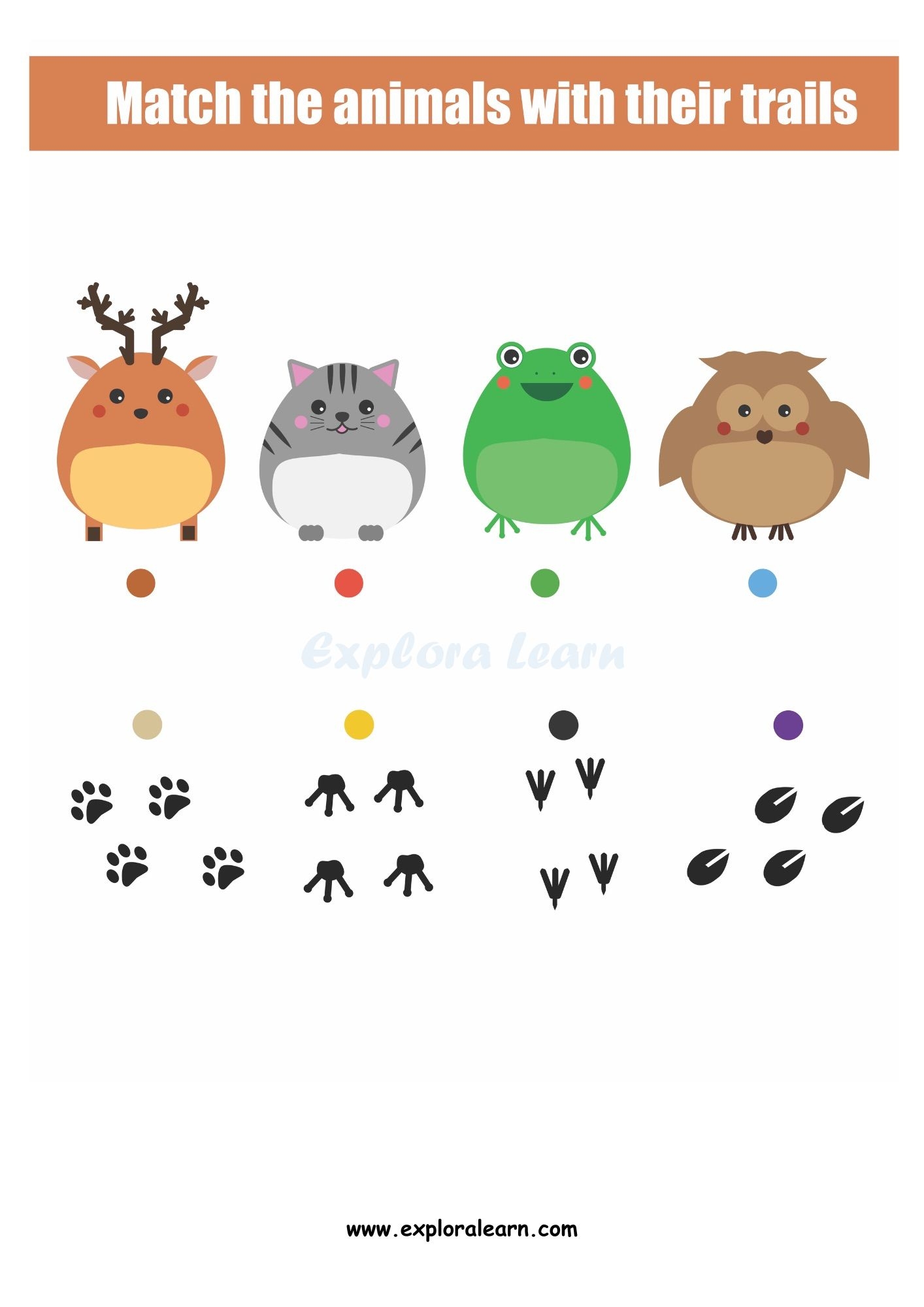 Logical Matching Worksheets For Preschool And Kindergarten 2 To 6 Years Kids